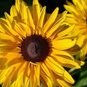 Meet your Posher, Earline